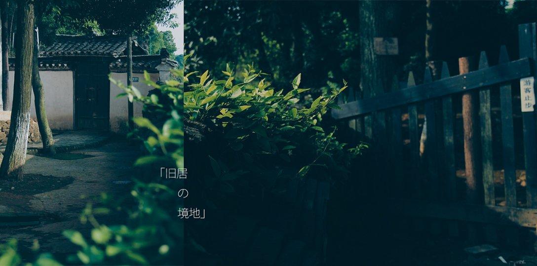 精彩乒乓球赛